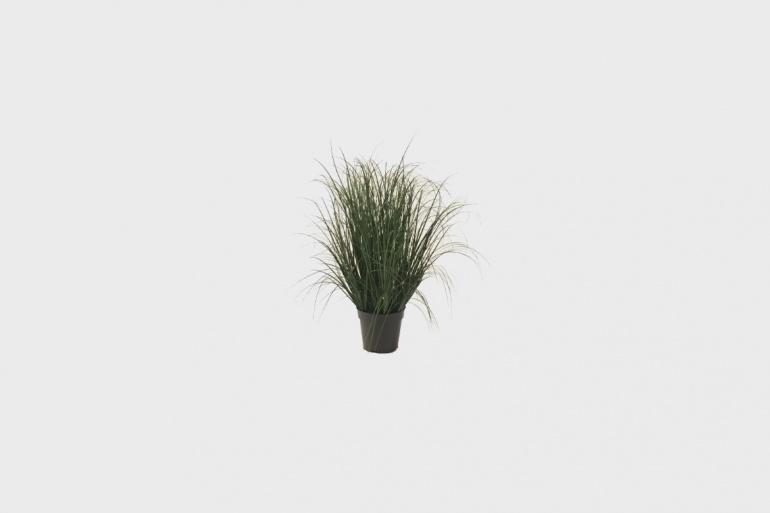 Grass Greens