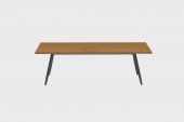 Table Teck Stipa 101x240