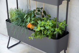 Planters