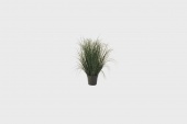 Grass Greens