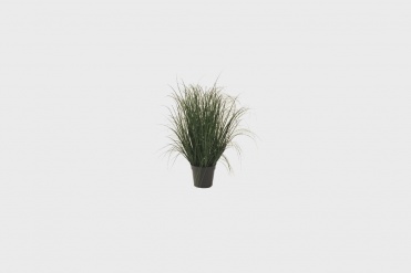 Grass Greens